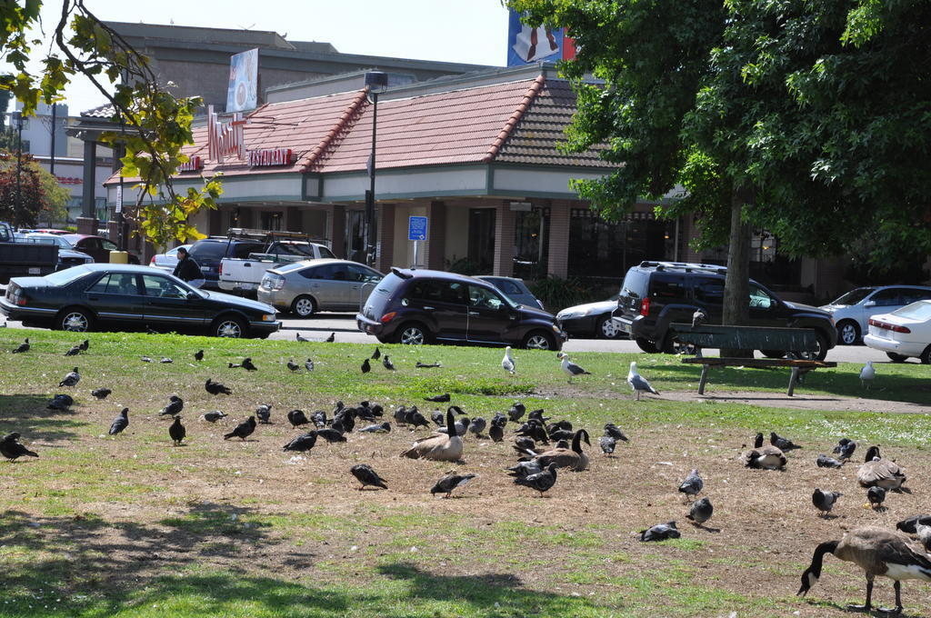 Americas Best Value Inn - Downtown Oakland/Lake Merritt Exteriér fotografie